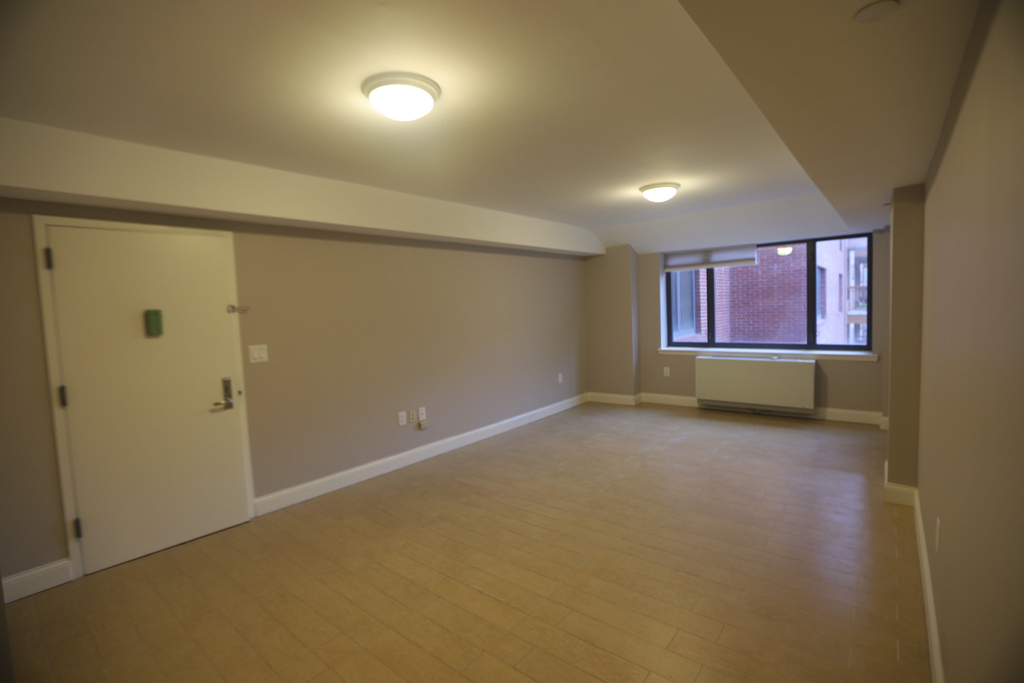 393 Lefferts Avenue Brooklyn NY 11225 - Photo 0