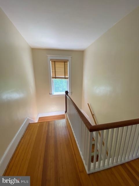 4344 Old Dominion Drive - Photo 32