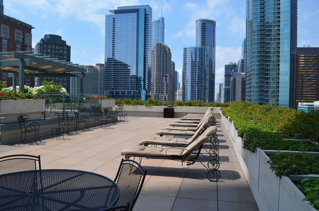 474 North Lake Shore Drive - Photo 16