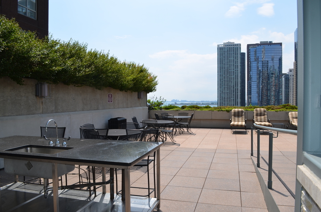 474 North Lake Shore Drive - Photo 18