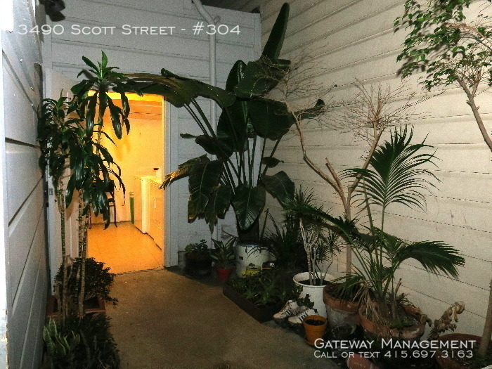 3490 Scott Street - Photo 8