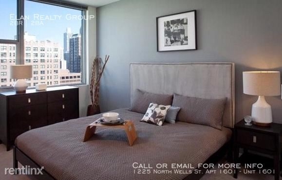 1225 North Wells St. Apt 1601 - Photo 2