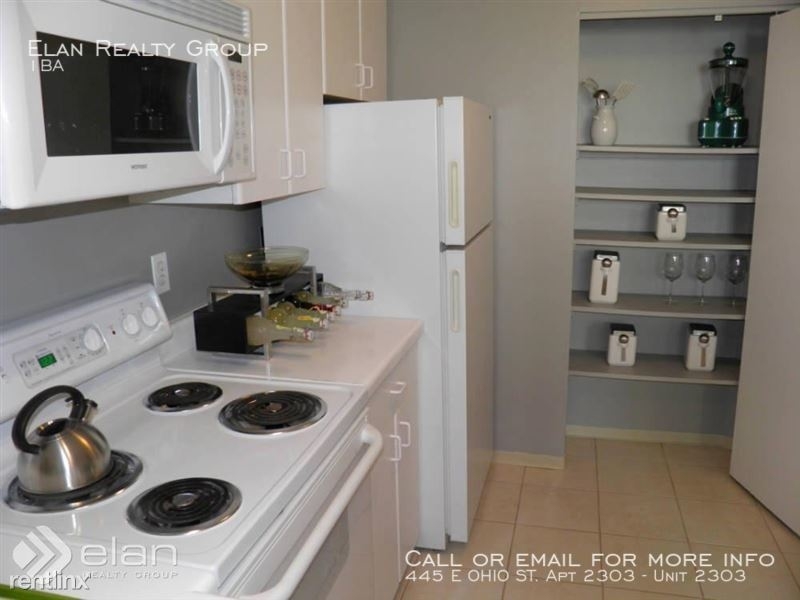 445 E Ohio St. Apt 2303 - Photo 1