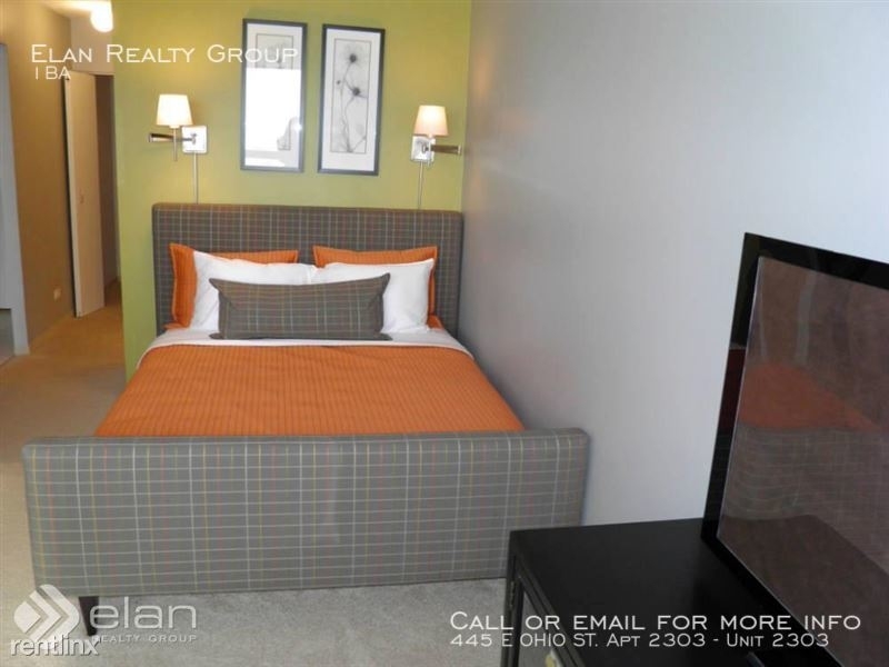 445 E Ohio St. Apt 2303 - Photo 3