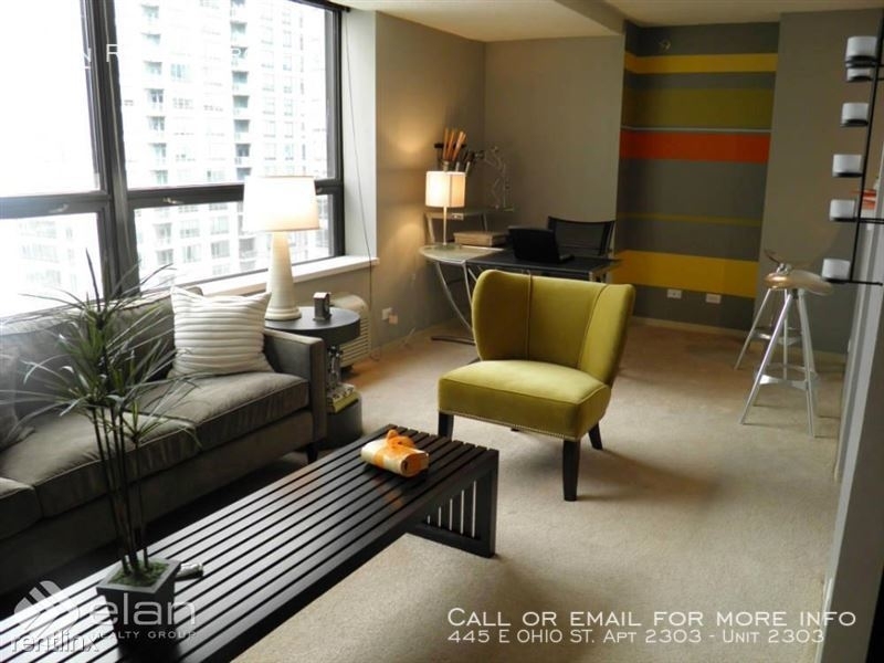 445 E Ohio St. Apt 2303 - Photo 2