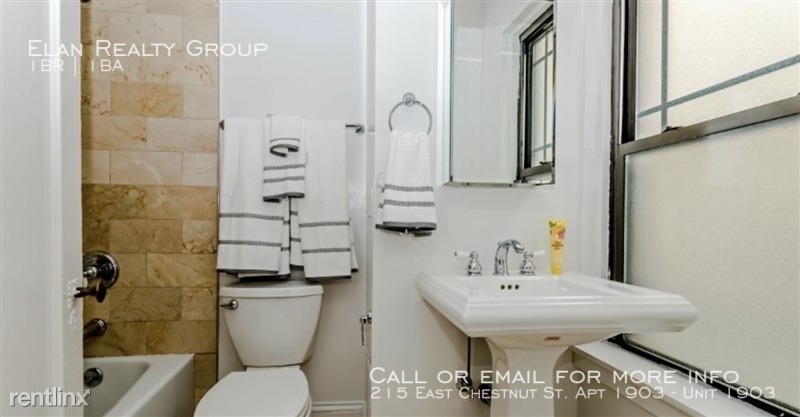 215 East Chestnut St. Apt 1903 - Photo 107