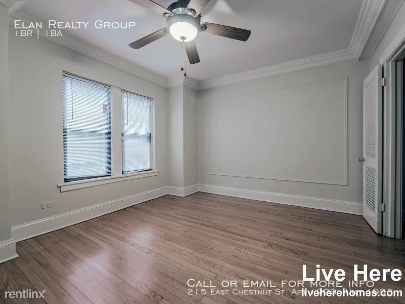 215 East Chestnut St. Apt 1903 - Photo 41