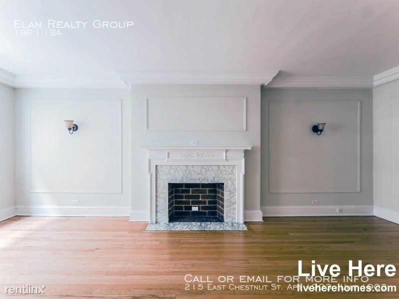 215 East Chestnut St. Apt 1903 - Photo 13