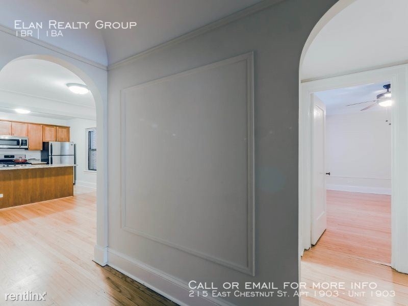 215 East Chestnut St. Apt 1903 - Photo 40