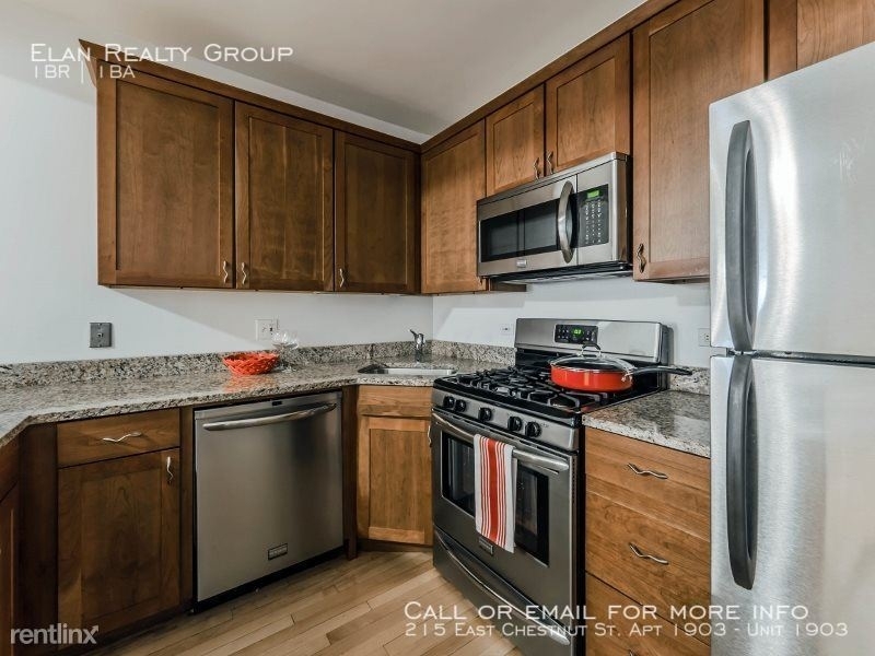 215 East Chestnut St. Apt 1903 - Photo 63