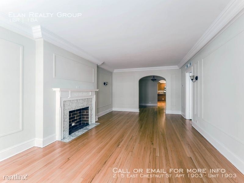 215 East Chestnut St. Apt 1903 - Photo 9