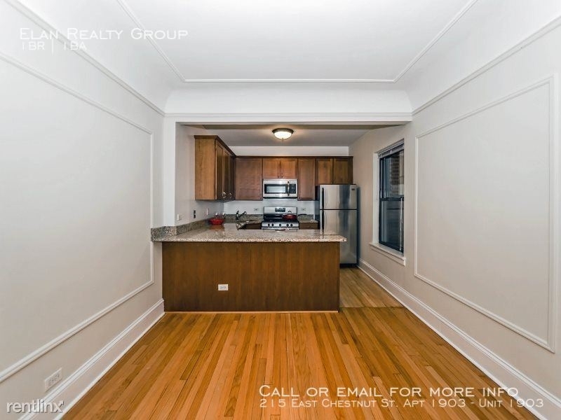 215 East Chestnut St. Apt 1903 - Photo 14