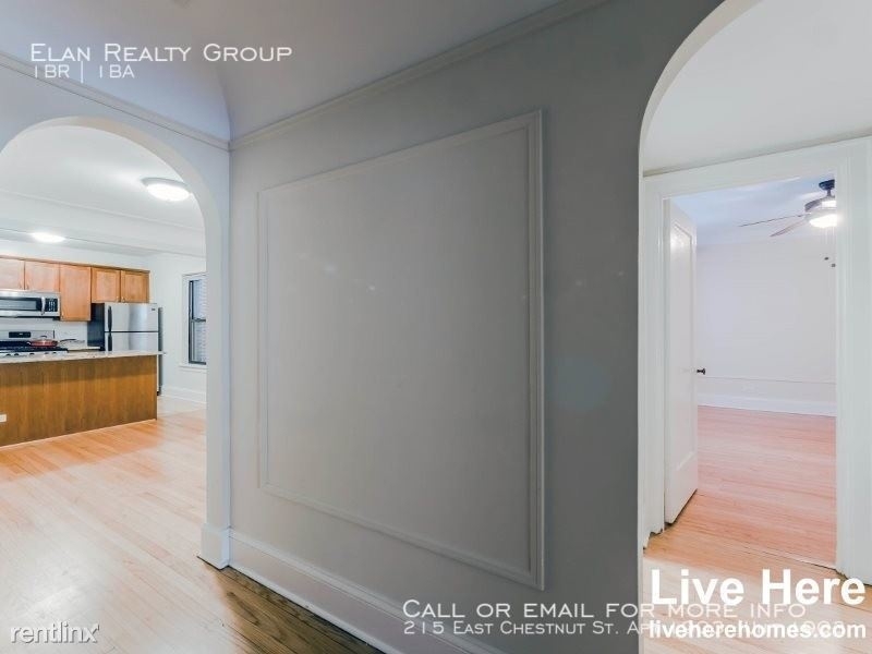 215 East Chestnut St. Apt 1903 - Photo 48