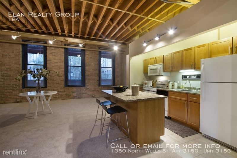 1350 North Wells St. Apt 315g - Photo 26