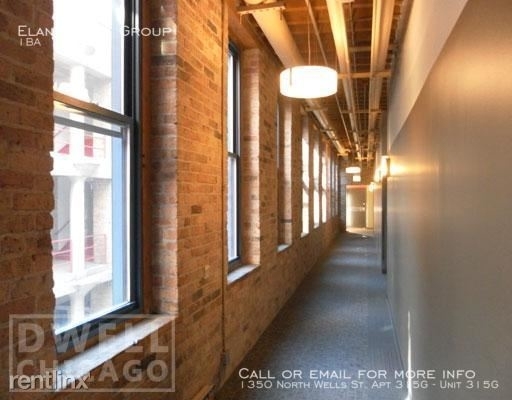 1350 North Wells St. Apt 315g - Photo 134