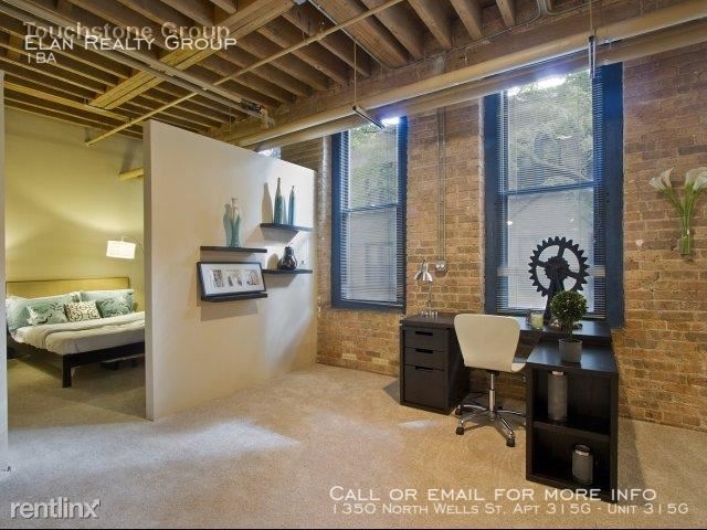 1350 North Wells St. Apt 315g - Photo 155