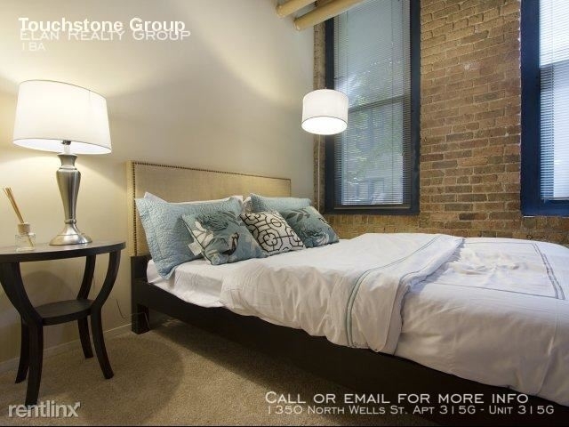 1350 North Wells St. Apt 315g - Photo 157