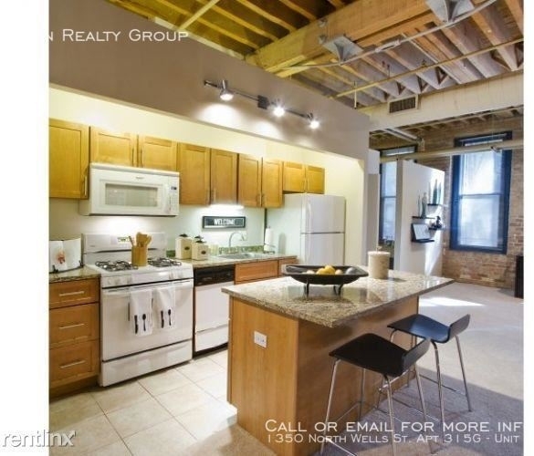 1350 North Wells St. Apt 315g - Photo 17