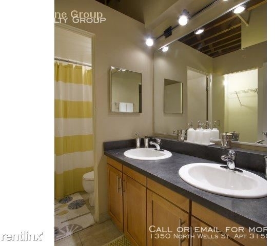 1350 North Wells St. Apt 315g - Photo 158