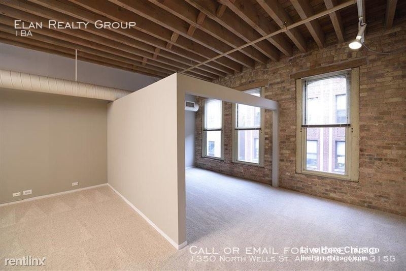 1350 North Wells St. Apt 315g - Photo 30