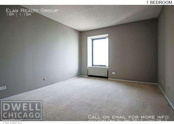 441 East Erie St. Apt 3812 - Photo 198