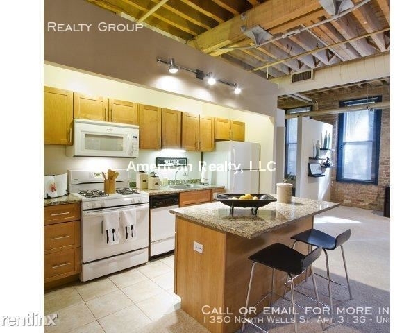 1350 North Wells St. Apt 313g - Photo 51