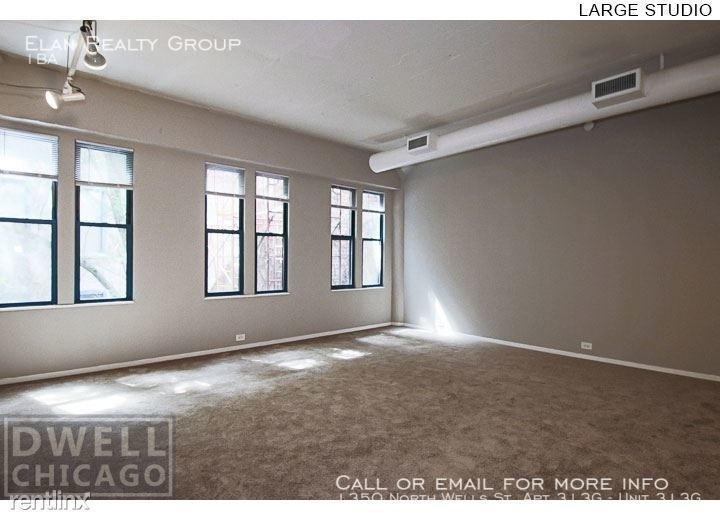 1350 North Wells St. Apt 313g - Photo 125