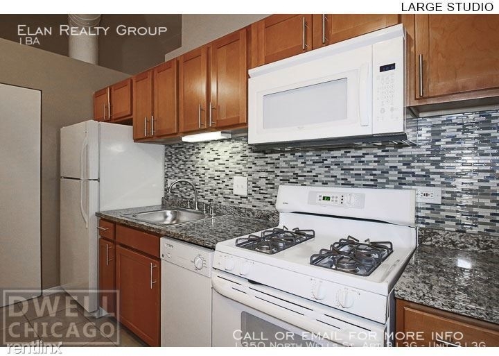 1350 North Wells St. Apt 313g - Photo 128