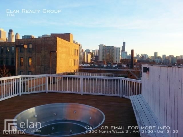 1350 North Wells St. Apt 313g - Photo 10