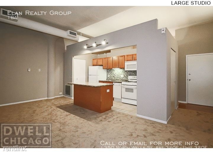 1350 North Wells St. Apt 320f - Photo 125