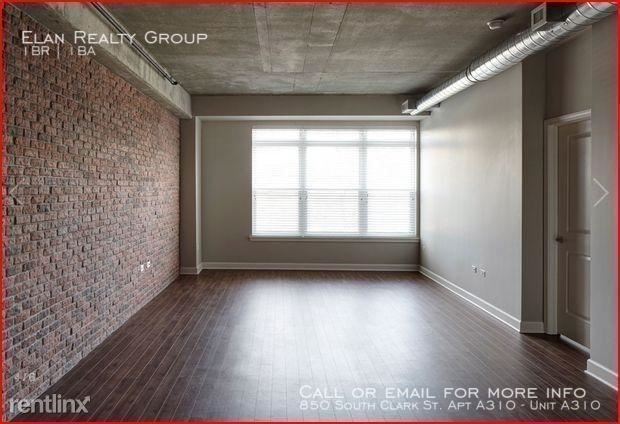 850 South Clark St. Apt A310 - Photo 1