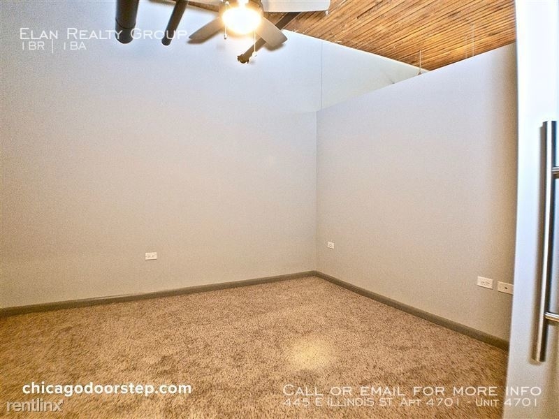 445 E Illinois St. Apt 4701 - Photo 11