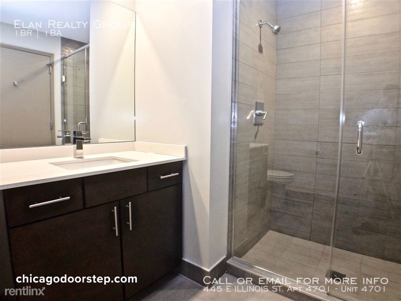 445 E Illinois St. Apt 4701 - Photo 42