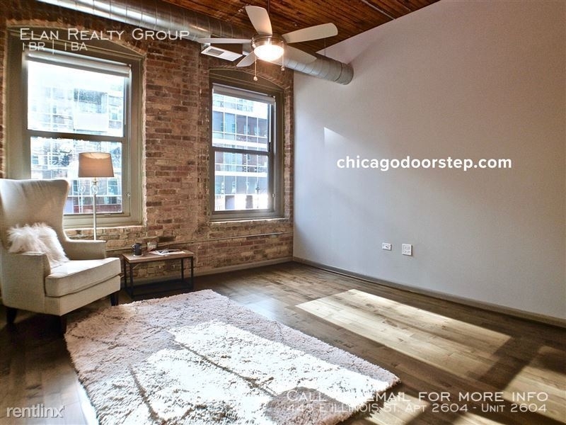 445 E Illinois St. Apt 2604 - Photo 9