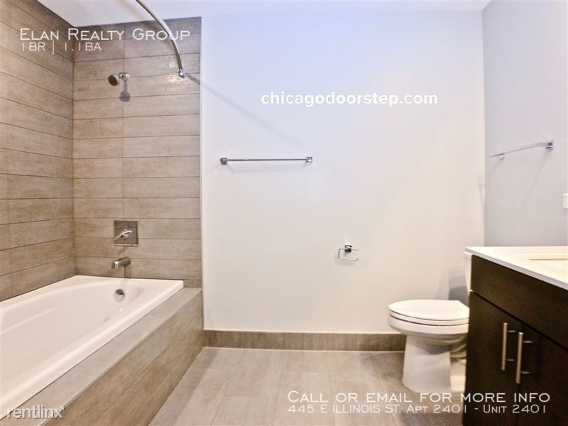 445 E Illinois St. Apt 2401 - Photo 15