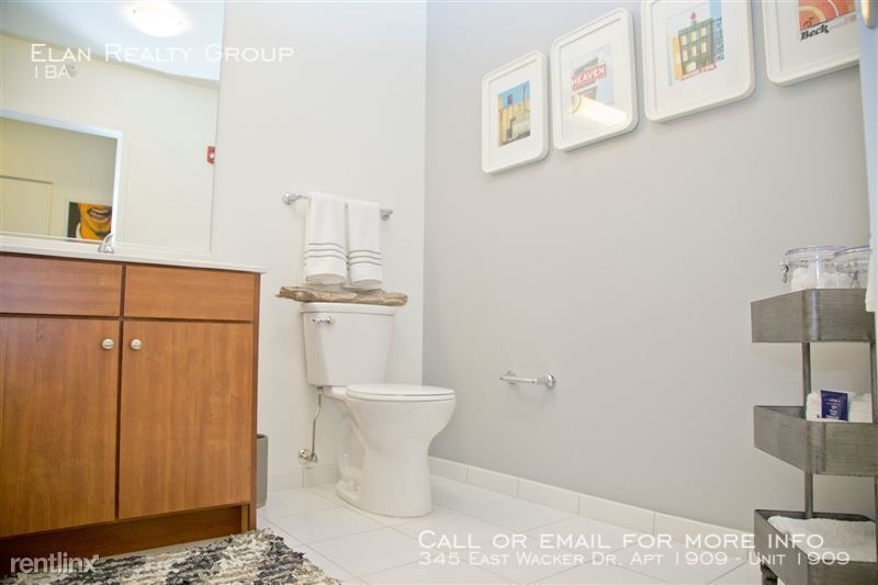 345 East Wacker Dr. Apt 1909 - Photo 32