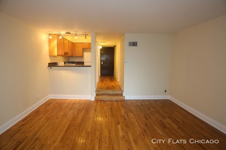 1220 N. Lasalle - Photo 9