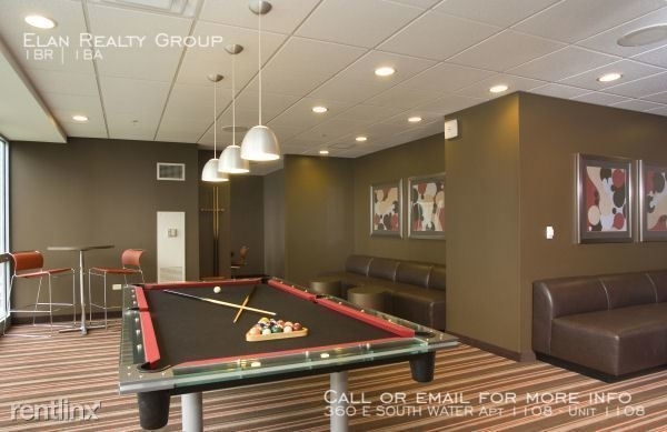 360 E South Water Apt 1108 - Photo 5