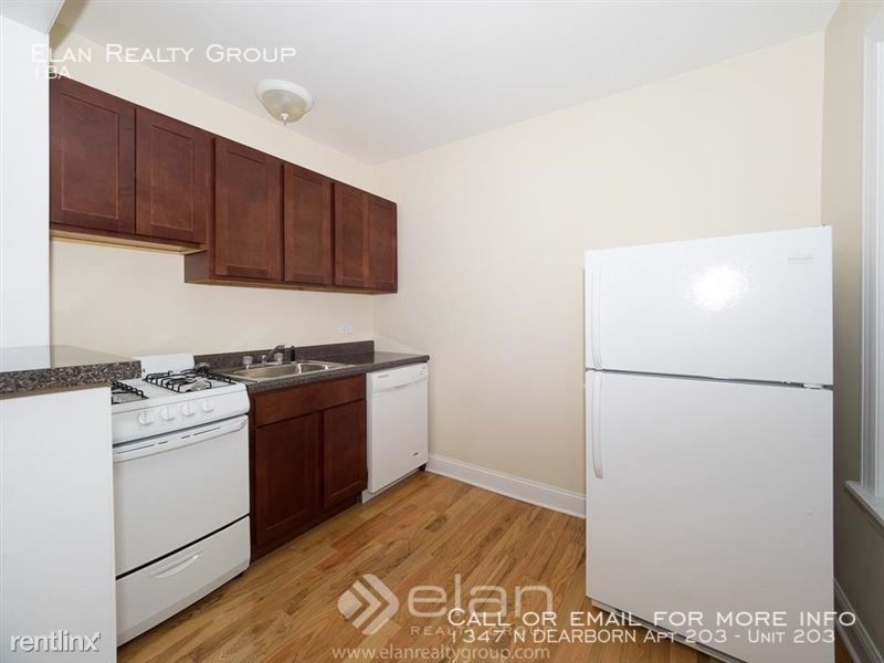 1347 N Dearborn Apt 203 - Photo 1