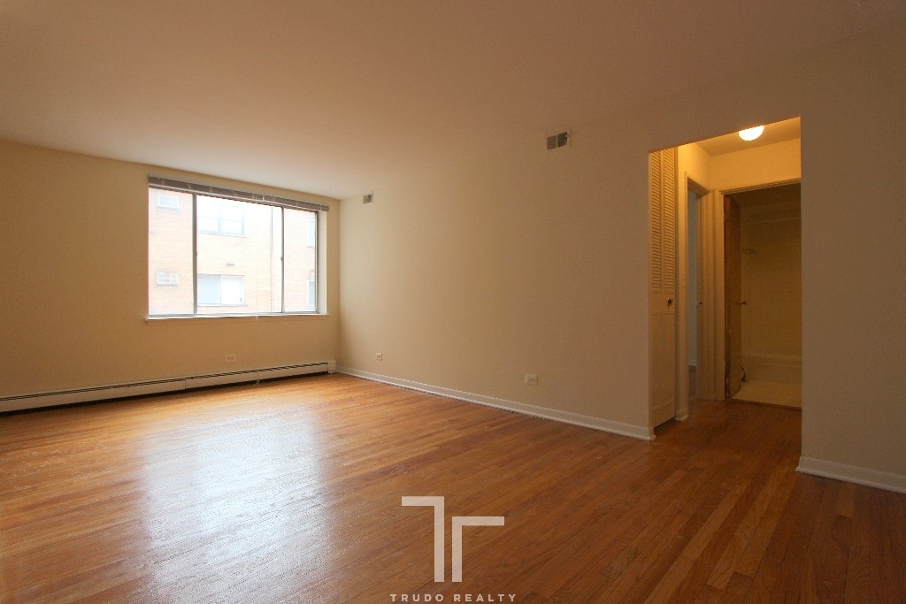 530 W Aldine Ave - Photo 1