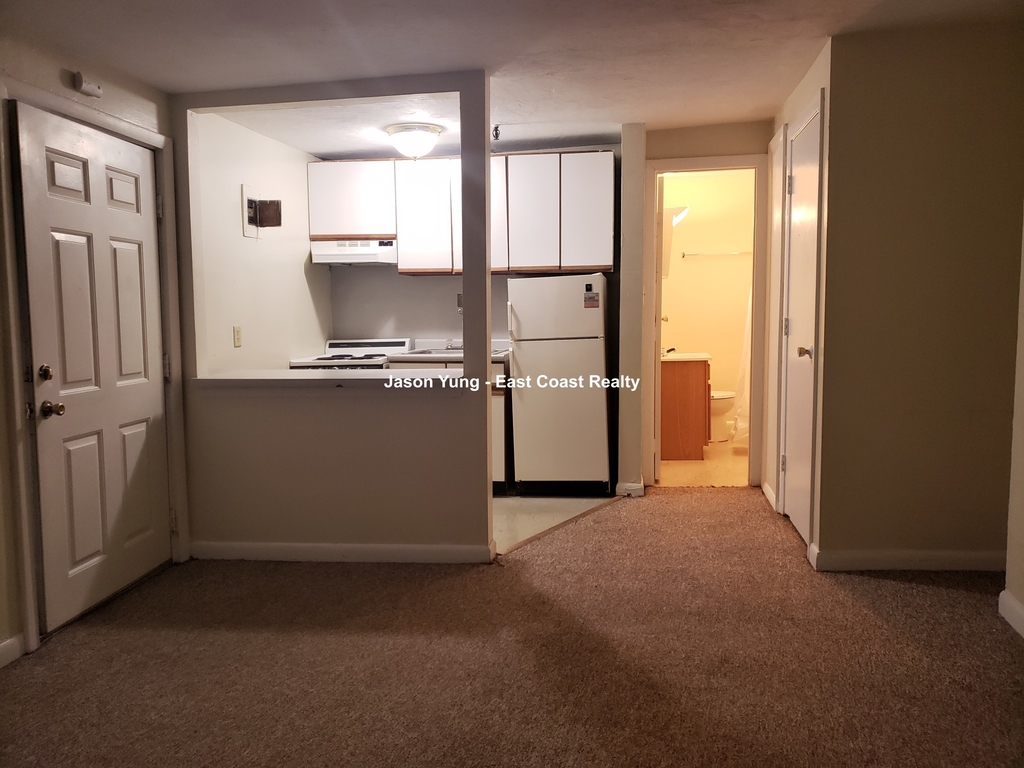 231 Harrison Ave. - Photo 6