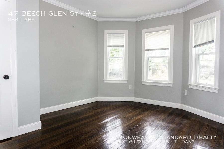 47 Beech Glen St - Photo 4