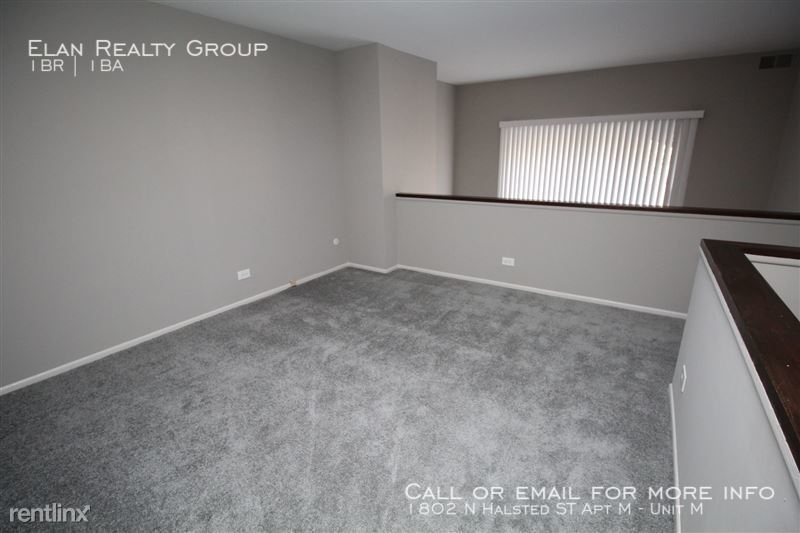 1802 N Halsted St Apt M - Photo 16