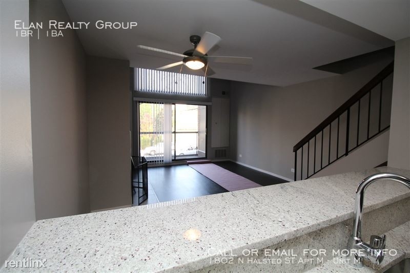 1802 N Halsted St Apt M - Photo 6