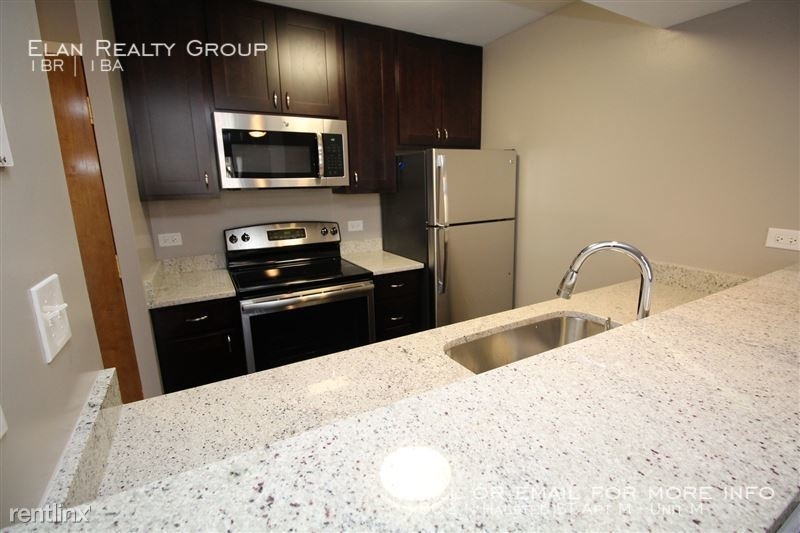 1802 N Halsted St Apt M - Photo 1