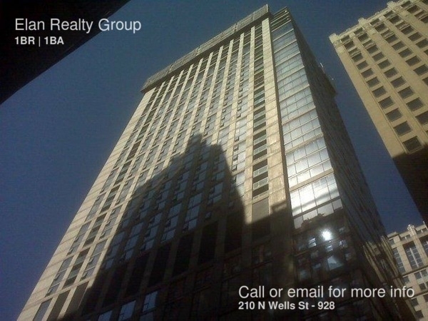 210 N Wells St - Photo 12