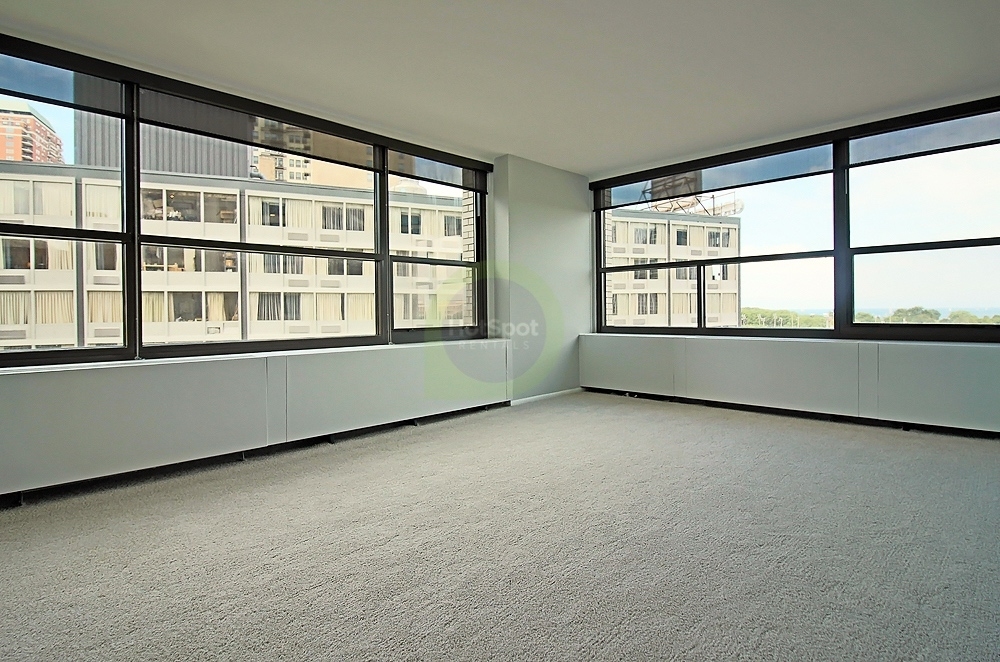 1130 South Michigan Ave. - Photo 11