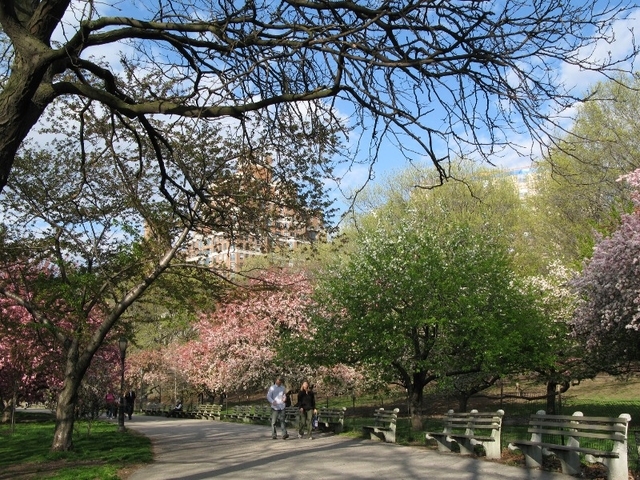 Upper West Side - Photo 10