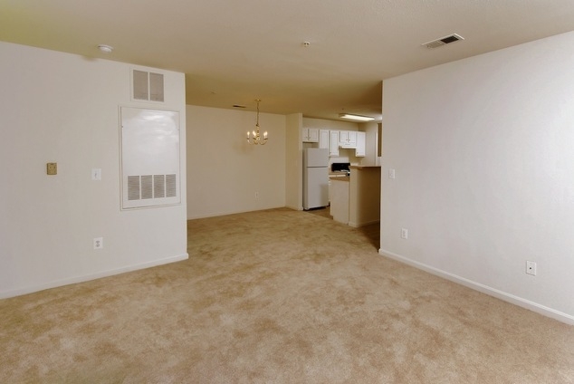 21030 Lowry Park Terrace - Photo 8