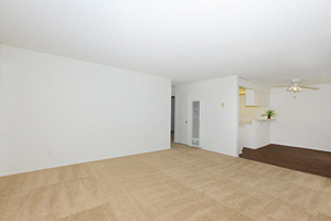 825 Tamarack Avenue - Photo 9